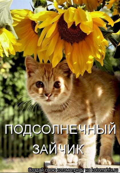 ��� [�����������]