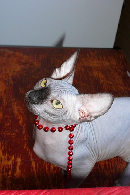 ���� �� � ������:))) [�]