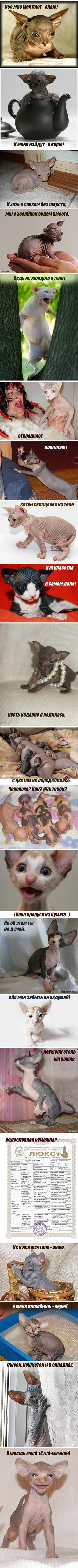  [���� � �������� �� �����]