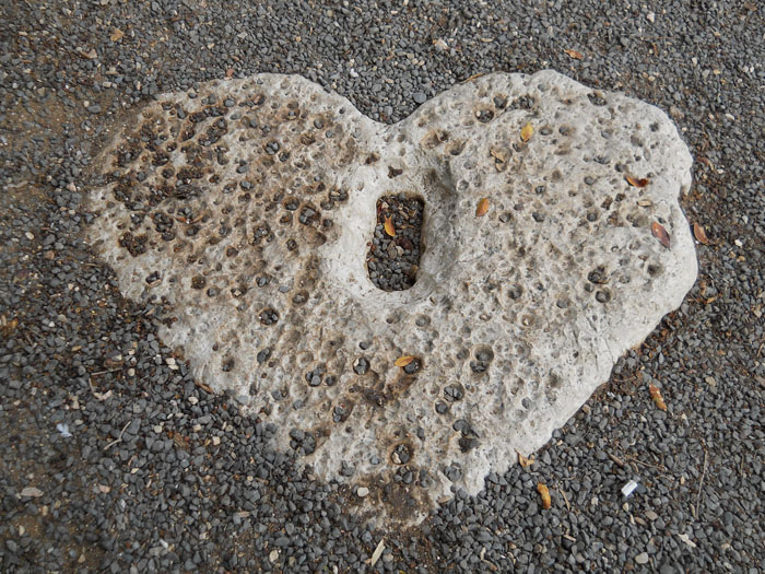 �������� ������ �� ������ �������� � ������� ������� ����� [������ �,]