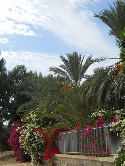 ����� � ������� ������� ����� [������ �.]