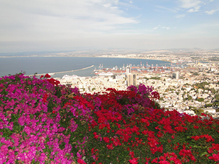 ��� �� ����� � ���� ������� [������ �,]