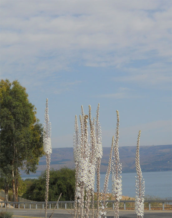 ����������� ��������� �� ���� ����� ������� [������ �,]