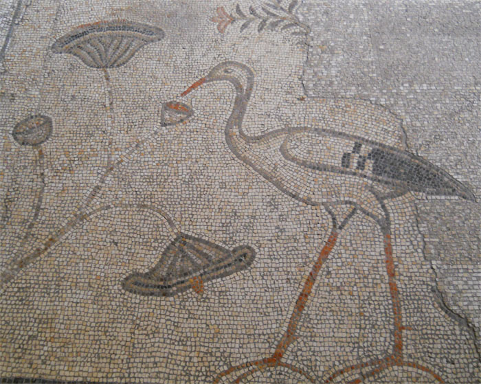 �������� ������������ ������� [������ �,]