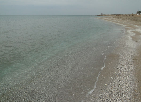 �����, ���� [������ �,]