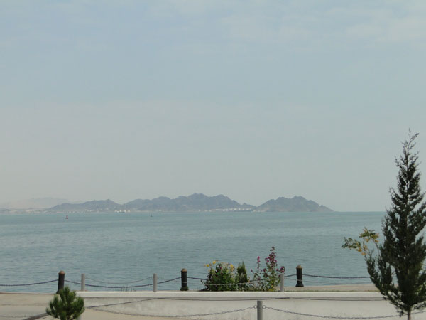 ���������� ���� [������ �.]