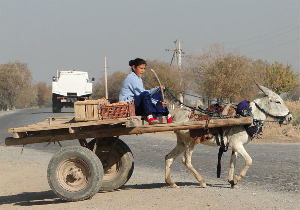 ������� �� ������ [������ �,]