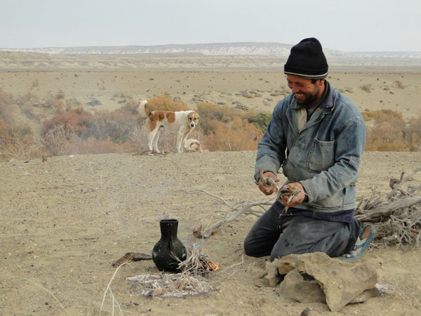 ������ �� ������� [������ �,]