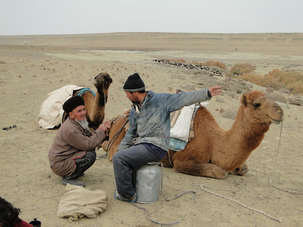 ������ ������������� �� ����������� �������� [������ �,]