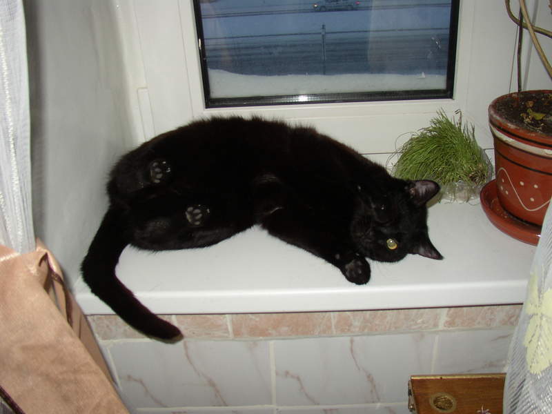 ����� ����������� �������� �� ������ � �������. ����� ������ � ����� �������. ����� ������� ����� :))) [���]