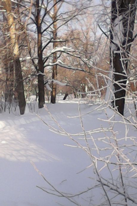  [�. �������������]