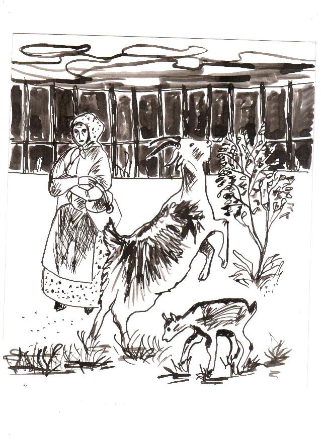  [��������� �.�.]