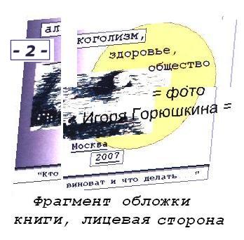 (= Увеличить! =) Игорь Горюшкин, Книга 2-я, обложка, лицевая - фрагмент; фото Игоря Горюшкина, 2016 г.