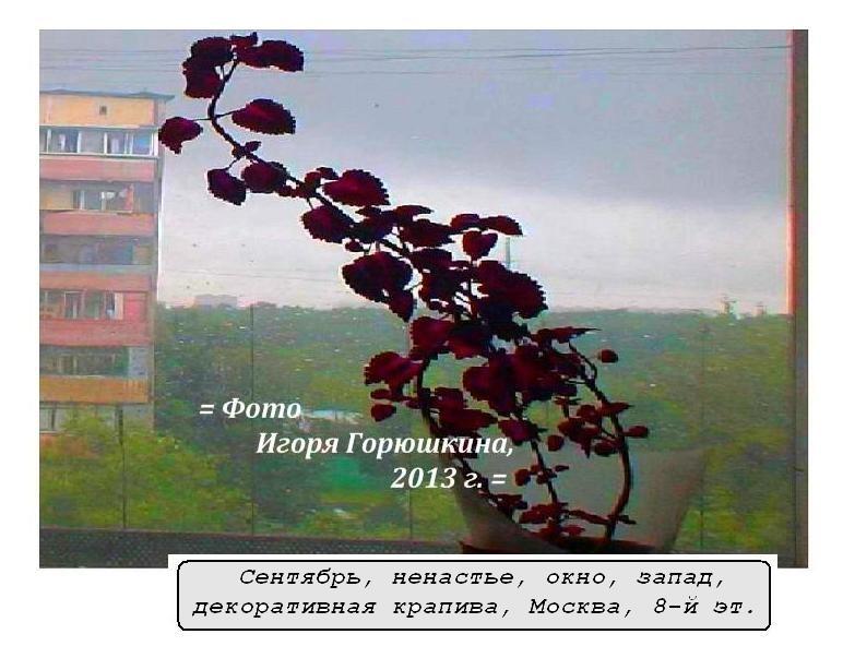 =����� ��������: ����: ��������, ��������, ������������ �������, ������, 2013 �., ���� �����, ����� ��� � ������ - ��� ������, �������, ���� ������ � �������������� ��������� �����