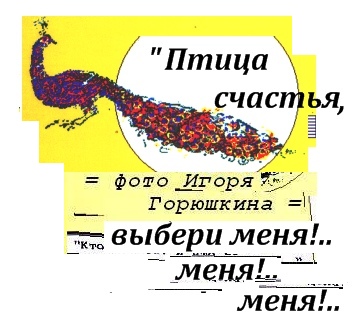 (=Увеличить!=) Горюшкин Игорь: фрагмент обложки, птица счастья, выбери меня, фрагмент оформления книги, О здоровье. Нашем, вашем, вообще, Принимаем решение, фотомонтаж дизайн и редактирование Игоря Горюшкина