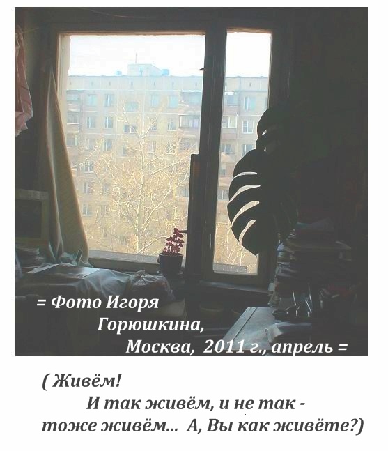    (=���������!?=) ����� ��������,  ����������, 2011 �., � ��� ����, � �� ���, � �� ���? 2011 �., ������������ ���������, ��������� ���������, ��� ������, ������� � ���������, ���� ������ � �������������� ����� ���������, ������, 2017 �.