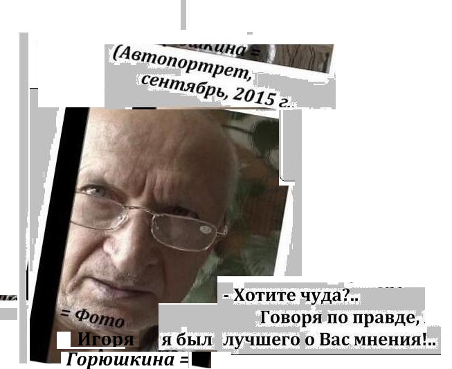 (= Увеличить! =) Игорь Горюшкин, Автопортрет, 2015 г., Ждать чуда, Управление, критерии эффективности, лишние звенья, контроль, прежде всего, диалоги с читателем, фото дизайн и редактирование Игоря Горюшкина, Москва, 2016 г.