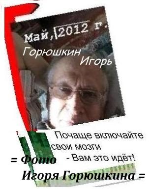 (=Увеличить!=) Горюшкин Игорь: 2015, власть - неудобные вопросы, Общество и иллюзии, власть и коррупция (неудобные утверждения) - логический анализ, я утверждаю, диалоги с читателем, фотомонтаж дизайн и редактирование Горюшкина Игоря, Москва, 2017 г.