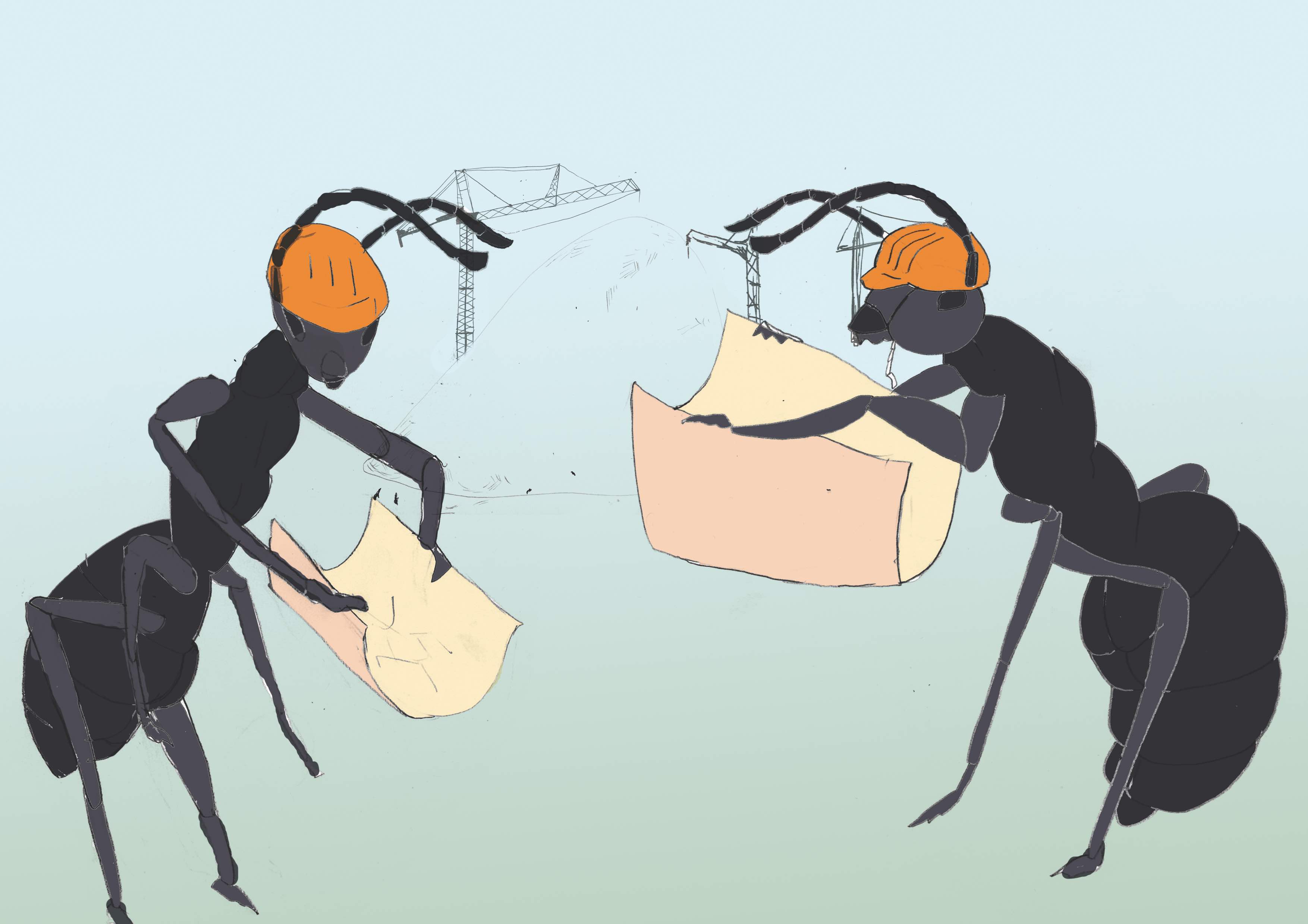  [����� ������]