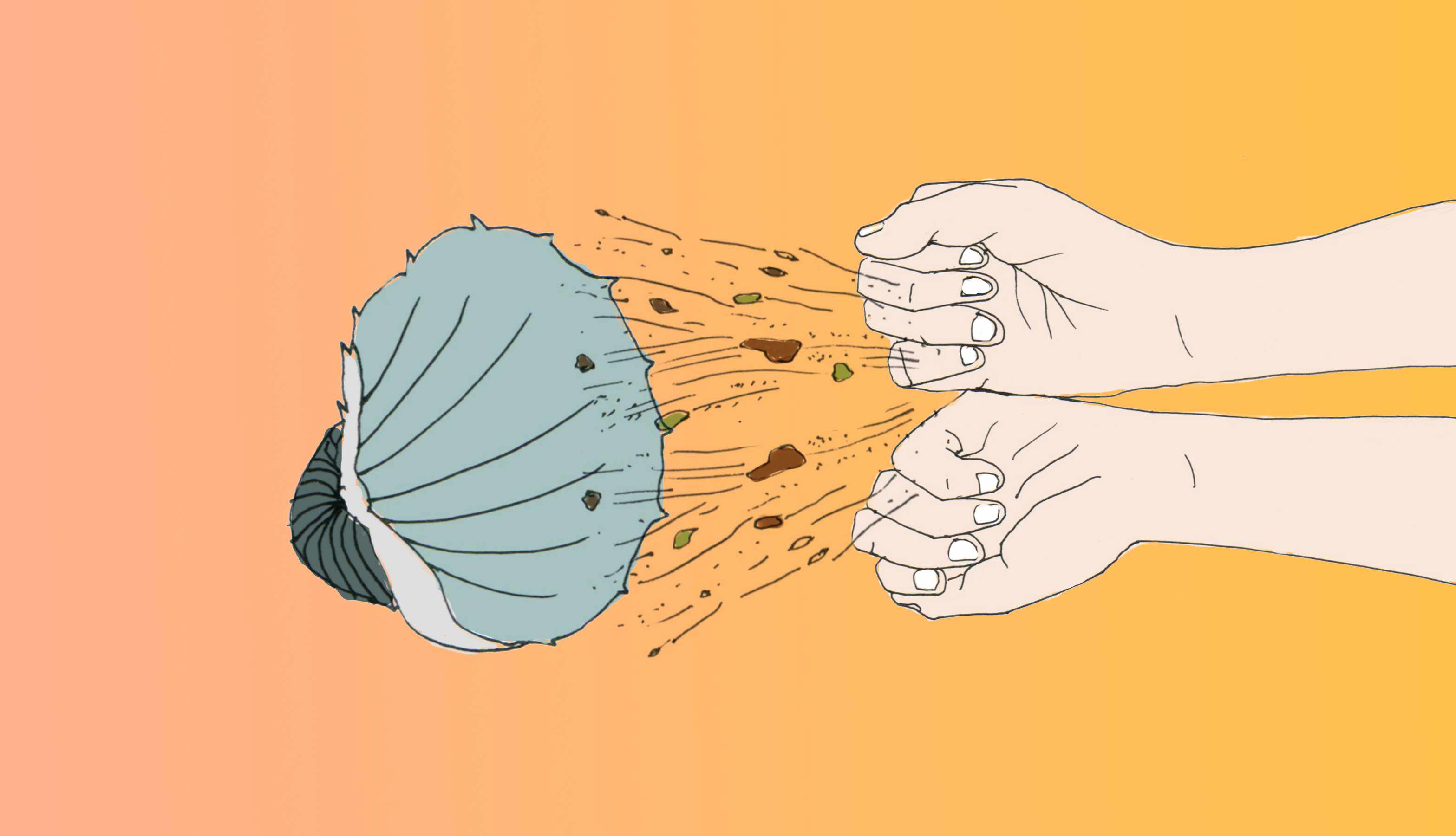  [����� ������]