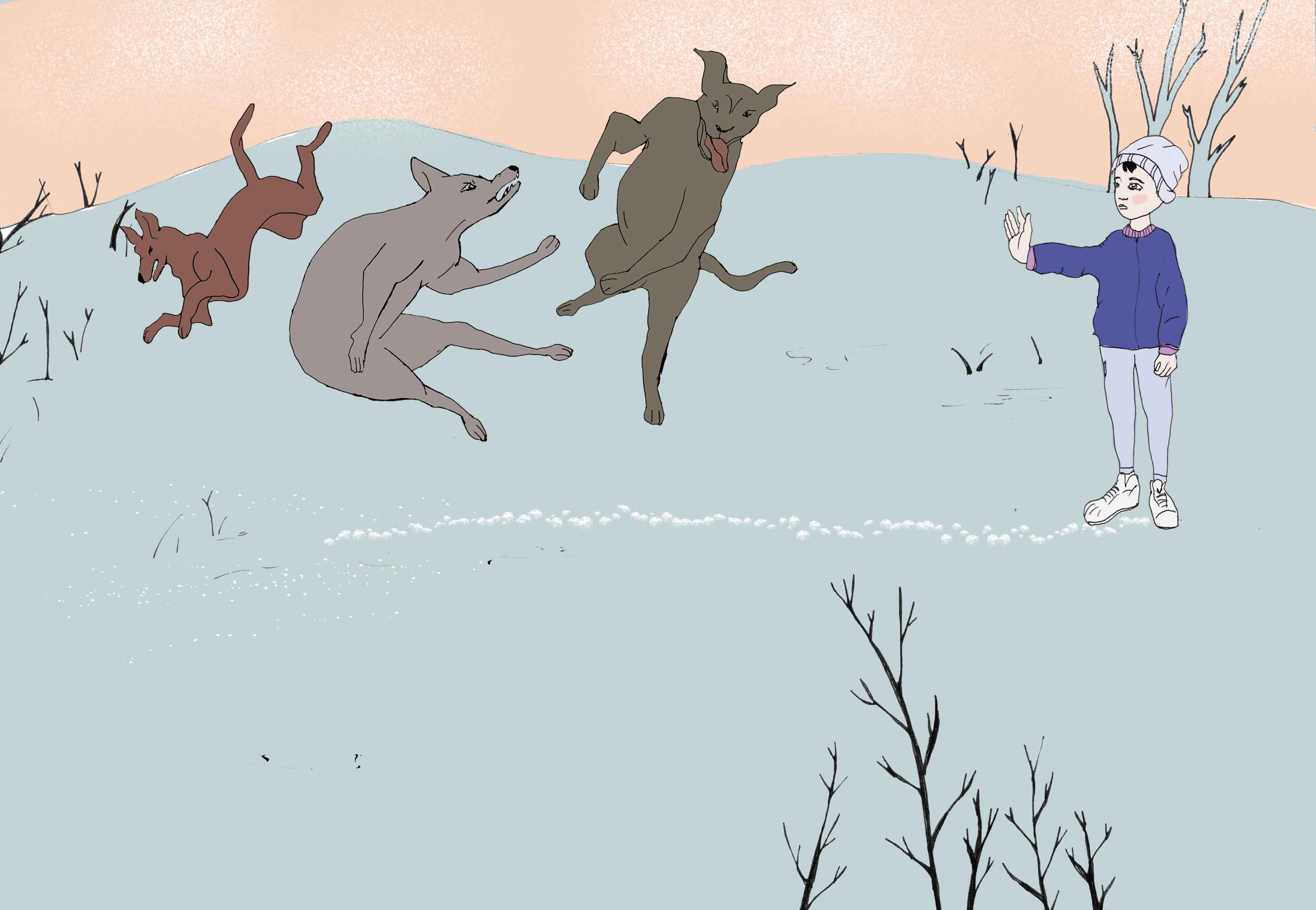  [����� ������]