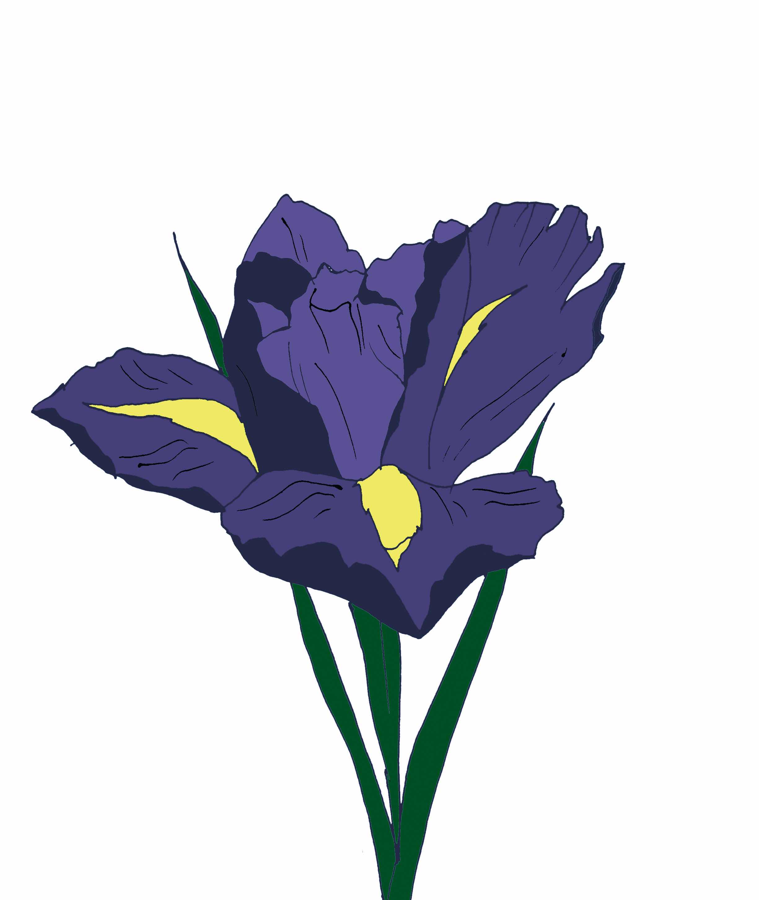  [����� ������]