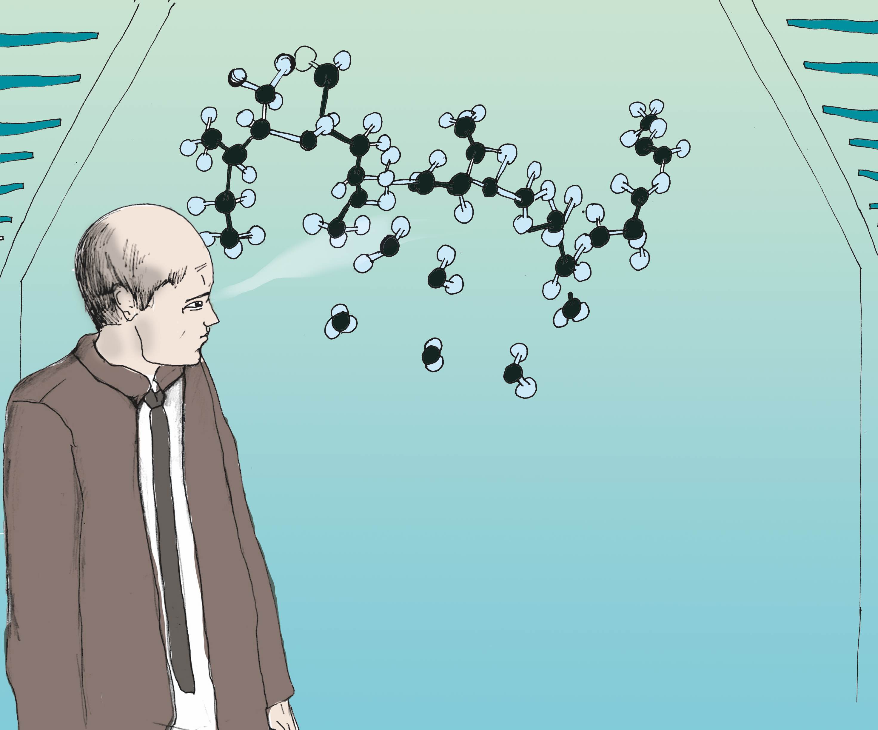  [����� ������]