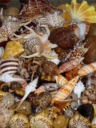 ��������� ������� [�� �����]