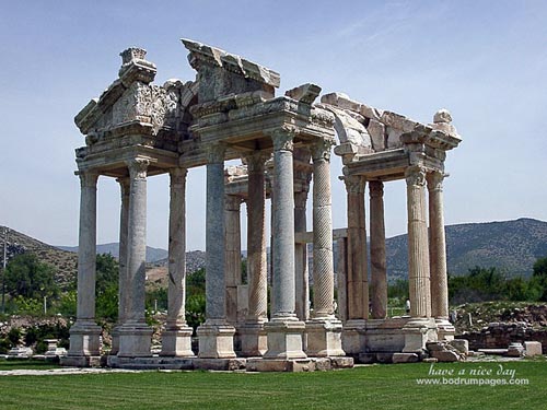 ���� �������� [�� �����]