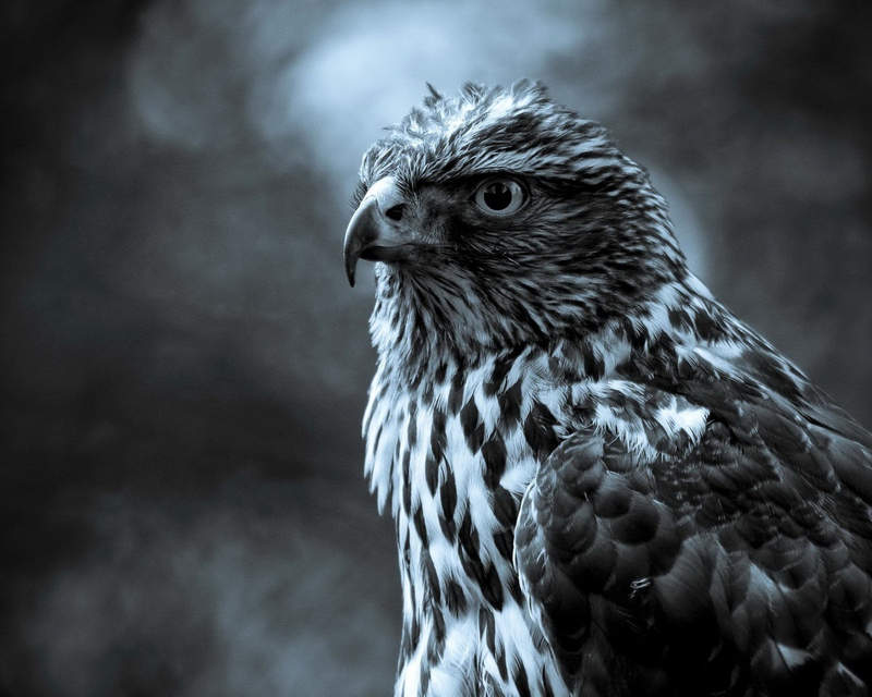 ����� [�� �����]