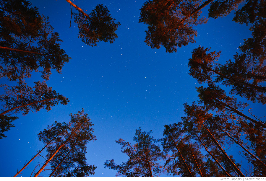 �������� ���� ... [�� ����� (���� �. ��������)]