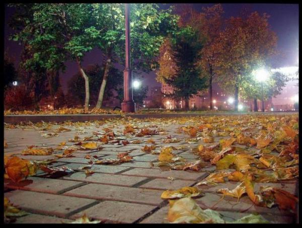 �������� �������� [�� �����]