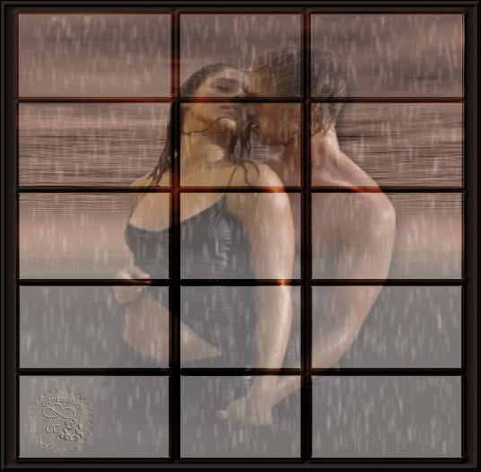 � ���� [�� �����]