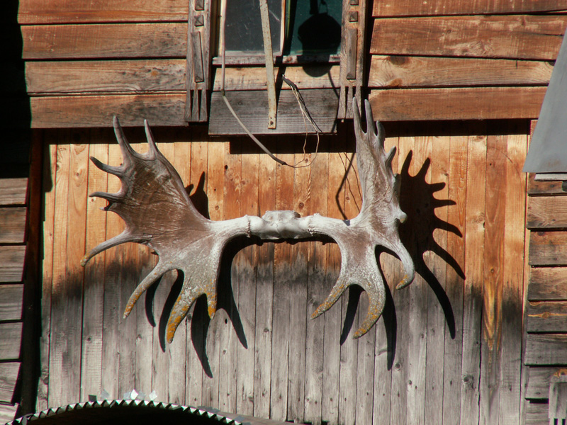 ���� [������� ������]