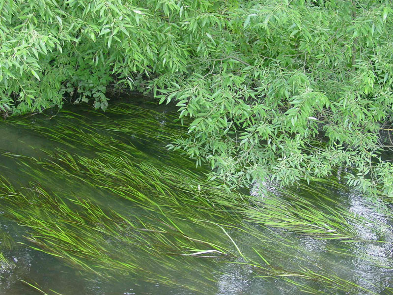 ������������ �����... [������� ������]