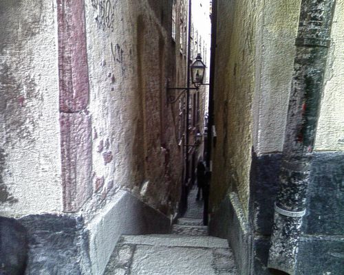 jpg [�������� �������]