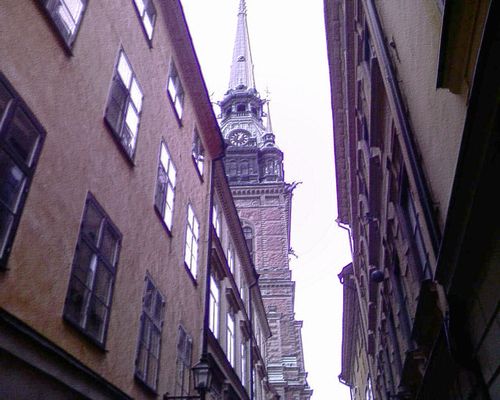 jpg [�������� �������]