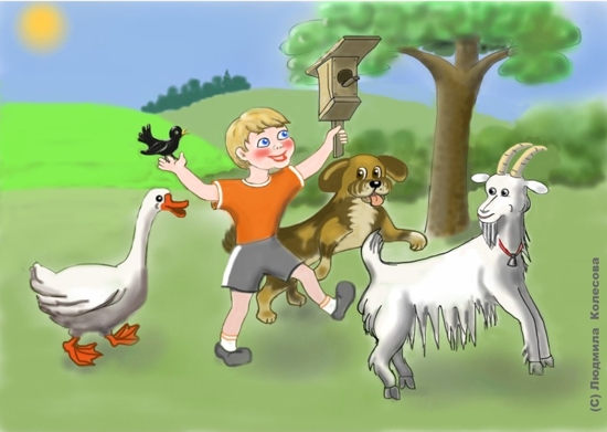 jpg [�������� �������]