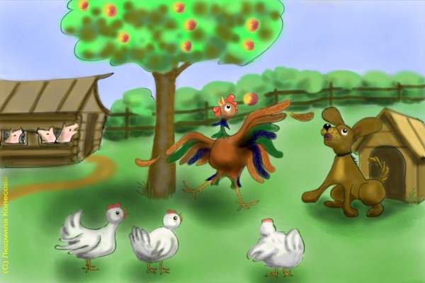 jpg [������� ��������]