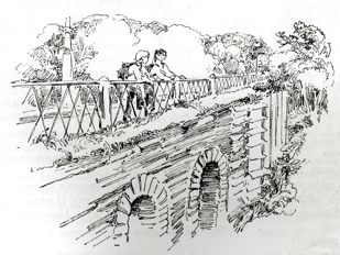 jpg [�. ����������]