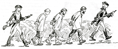 jpg [�. ����������]