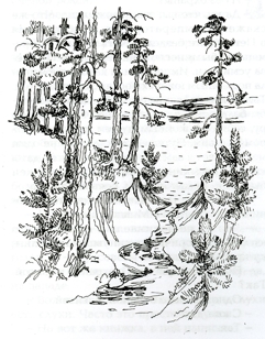 jpg [�. ����������]