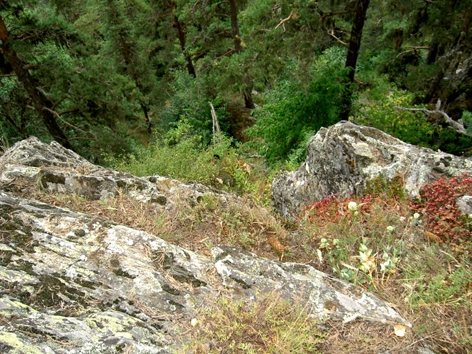 �� ���� [���� ����� ���]