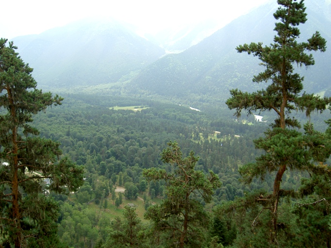 �������� [���� ����� ���]