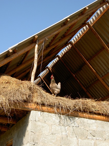 �� ����� ������� [���� ����� ���]