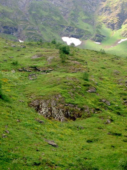 ����� ������. ����� [���� ����� ���]