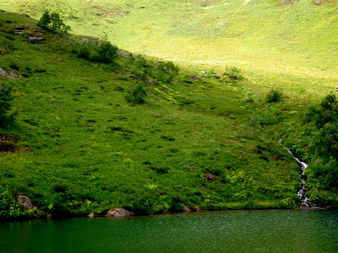 �����-2 [���� ����� ���]