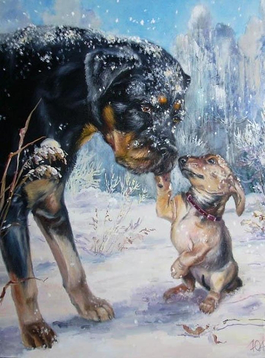  [�������� ���� ����������]