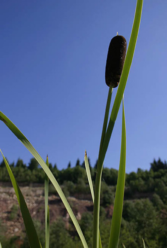 ����� [������� � ����]