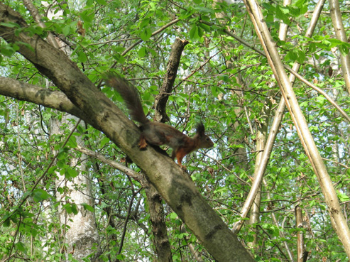 ����� ����� [�������]